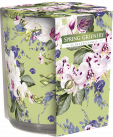 Svíčka vonná  100g SN72S Spring greenery