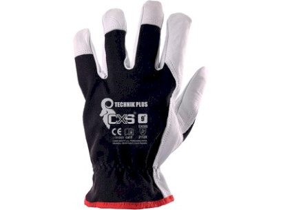 6817_7985_TECHNIK_PLUS_1~1