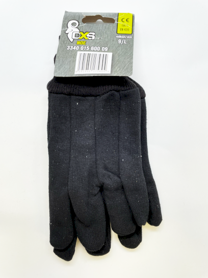 43062_CANISRUKAVICENOE~1