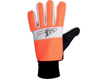 6874_12241_TEMA_1_1~1