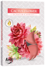 Svíčka čajová 6ks CACTUS FLOWERS